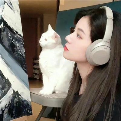 加满高级汽油